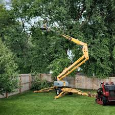 Best Seasonal Cleanup (Spring/Fall)  in Claude, TX